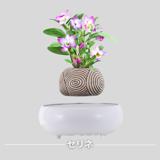 Maglevプランター™｜磁気浮遊インテリア植木鉢